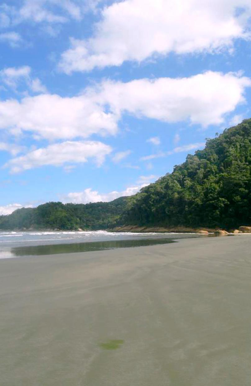 Praia da Fazenda