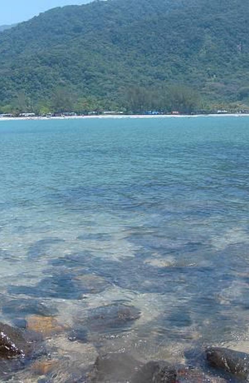 Ilha da Ponta