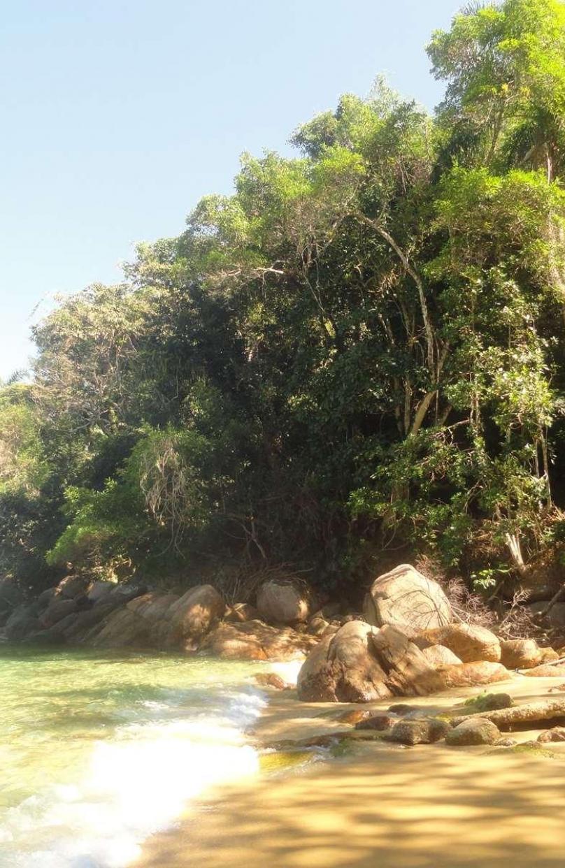 Praia do Japonês