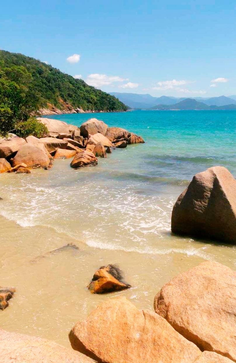 Praia das Palmas