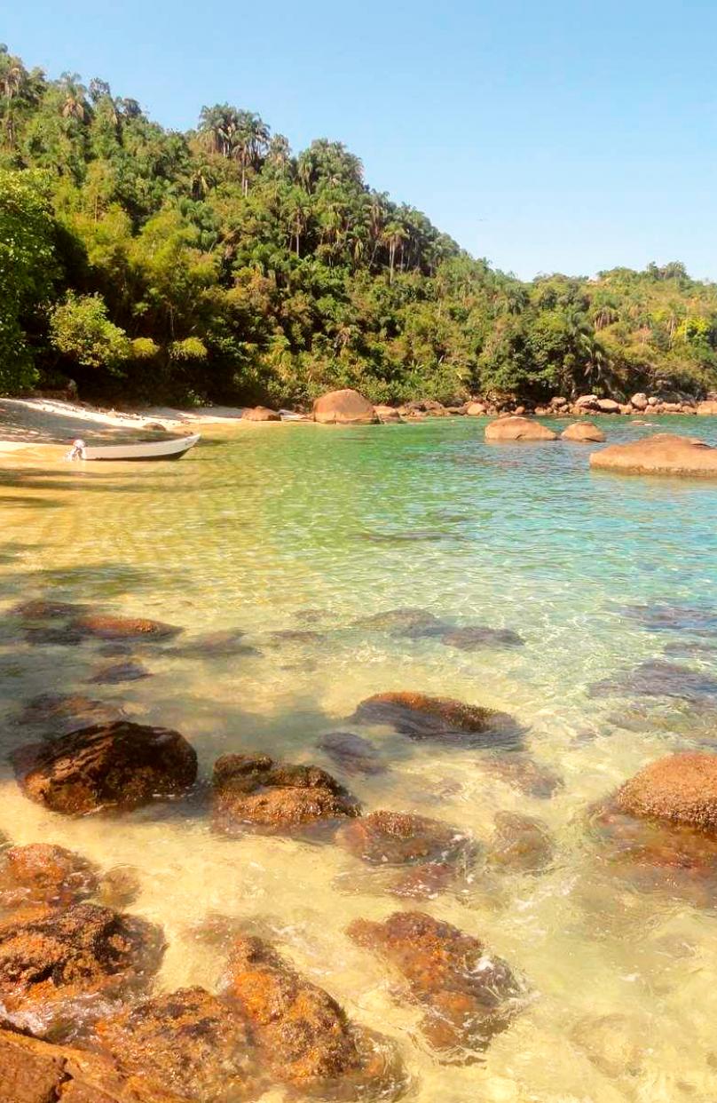 Praia das Couves